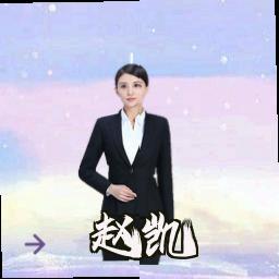 赵凯